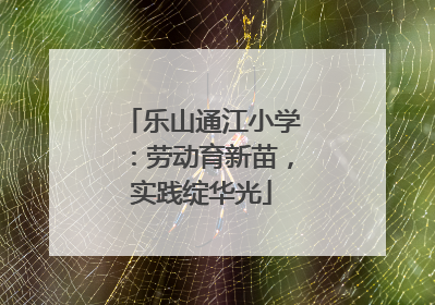乐山通江小学：劳动育新苗，实践绽华光