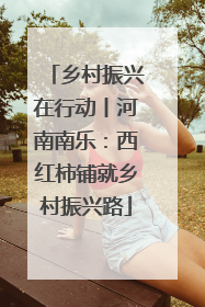 乡村振兴在行动丨河南南乐：西红柿铺就乡村振兴路