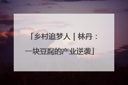 乡村追梦人｜林丹：一块豆腐的产业逆袭
