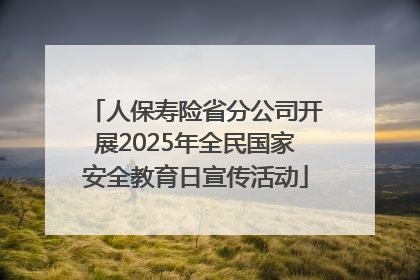 人保寿险省分公司开展2025年全民国家安全教育日宣传活动