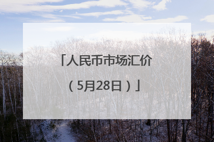 人民币市场汇价（5月28日）