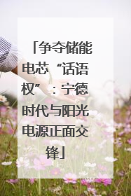 争夺储能电芯“话语权”：宁德时代与阳光电源正面交锋