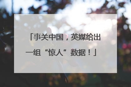 事关中国，英媒给出一组“惊人”数据！