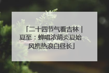 二十四节气看吉林｜夏至：蝉唱浓荫炎夏始 风携热浪白昼长