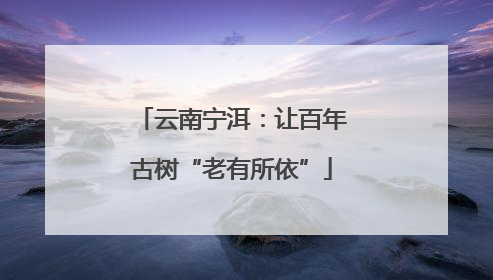 云南宁洱：让百年古树“老有所依”