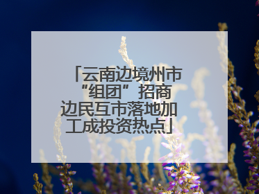云南边境州市“组团”招商 边民互市落地加工成投资热点