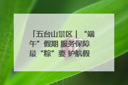 五台山景区｜“端午”假期 服务保障最“粽”要 护航假期“不打烊”