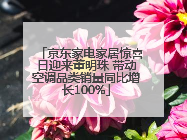京东家电家居惊喜日迎来董明珠 带动空调品类销量同比增长100%