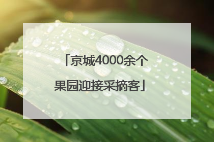 京城4000余个果园迎接采摘客