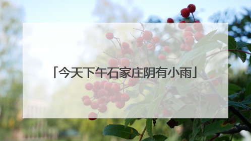 今天下午石家庄阴有小雨