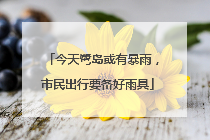 今天鹭岛或有暴雨，市民出行要备好雨具
