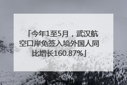 今年1至5月，武汉航空口岸免签入境外国人同比增长160.87%