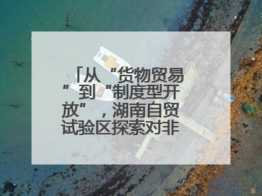 从“货物贸易”到“制度型开放”，湖南自贸试验区探索对非合作新模式