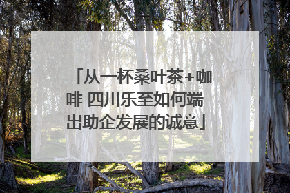 从一杯桑叶茶+咖啡 四川乐至如何端出助企发展的诚意