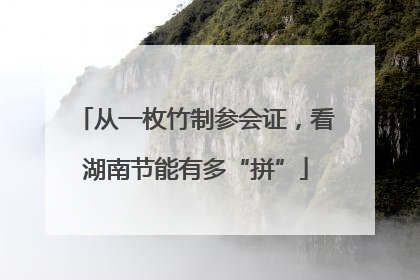从一枚竹制参会证，看湖南节能有多“拼”