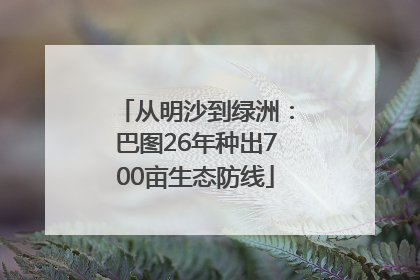 从明沙到绿洲：巴图26年种出700亩生态防线