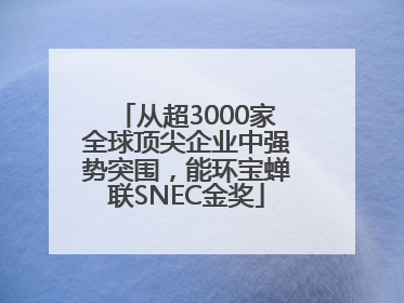 从超3000家全球顶尖企业中强势突围，能环宝蝉联SNEC金奖