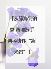 从静海到镇原 两地携手再添协作“新光景”