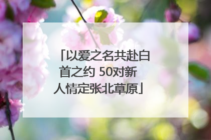 以爱之名共赴白首之约 50对新人情定张北草原