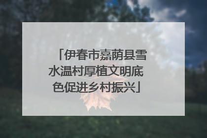 伊春市嘉荫县雪水温村厚植文明底色促进乡村振兴