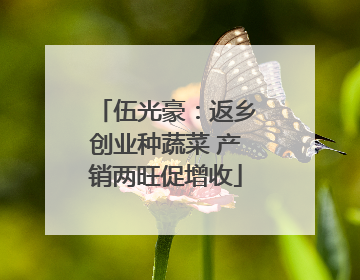 伍光豪：返乡创业种蔬菜 产销两旺促增收
