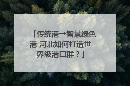 传统港→智慧绿色港 河北如何打造世界级港口群？