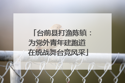 台前县打渔陈镇：为党外青年建跑道 在统战舞台竞风采