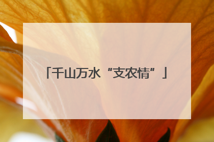 千山万水“支农情”