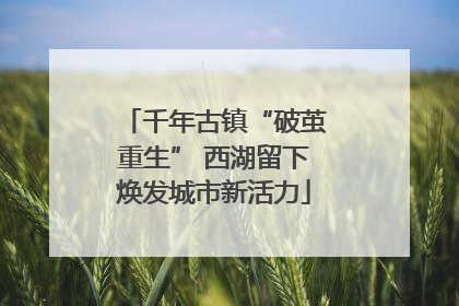 千年古镇“破茧重生” 西湖留下焕发城市新活力