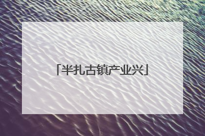 半扎古镇产业兴