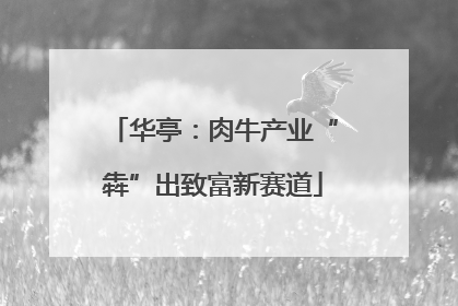华亭：肉牛产业“犇”出致富新赛道