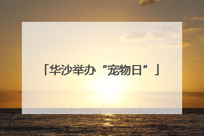 华沙举办“宠物日”