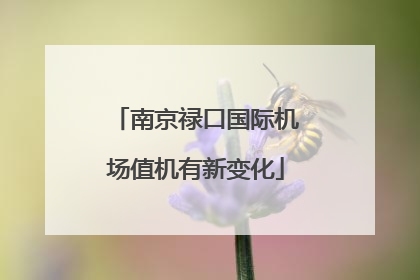 南京禄口国际机场值机有新变化