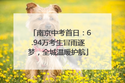 南京中考首日：6.94万考生冒雨逐梦，全城温暖护航
