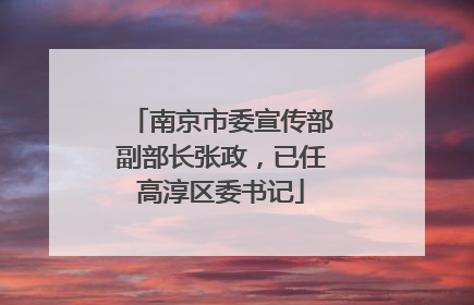 南京市委宣传部副部长张政，已任高淳区委书记