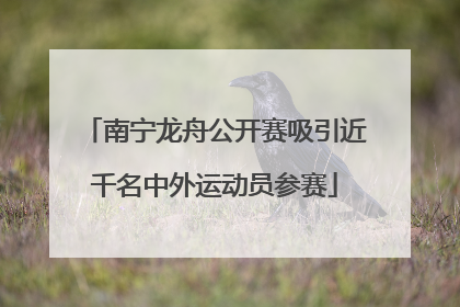 南宁龙舟公开赛吸引近千名中外运动员参赛
