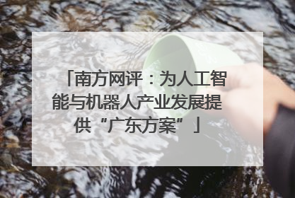 南方网评：为人工智能与机器人产业发展提供“广东方案”