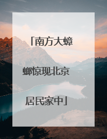 南方大蟑螂惊现北京居民家中