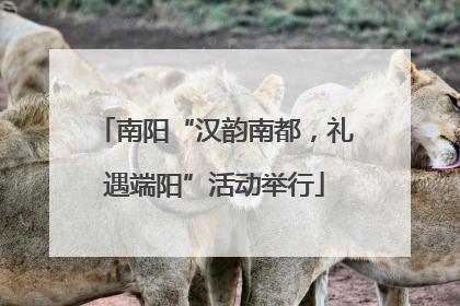 南阳“汉韵南都，礼遇端阳”活动举行