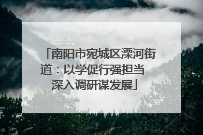 南阳市宛城区溧河街道：以学促行强担当 深入调研谋发展
