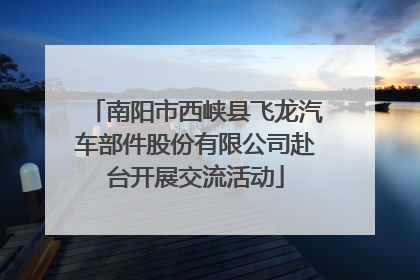 南阳市西峡县飞龙汽车部件股份有限公司赴台开展交流活动