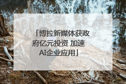 博拉新媒体获政府亿元投资 加速AI企业应用
