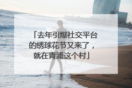 去年引爆社交平台的绣球花节又来了，就在青浦这个村