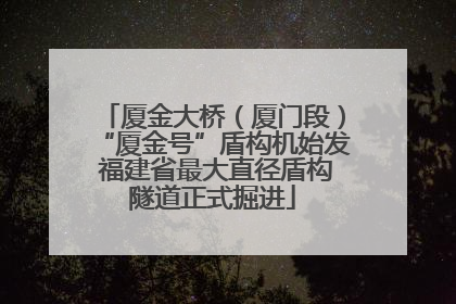 厦金大桥（厦门段）“厦金号”盾构机始发 福建省最大直径盾构隧道正式掘进