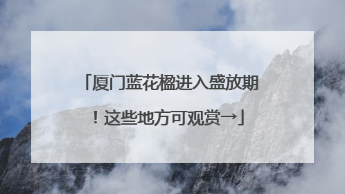 厦门蓝花楹进入盛放期！这些地方可观赏→