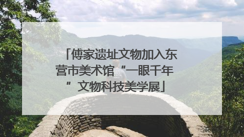 傅家遗址文物加入东营市美术馆“一眼千年”文物科技美学展