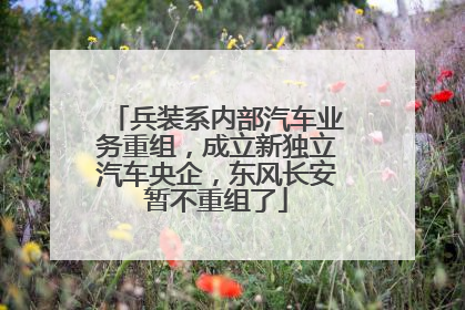兵装系内部汽车业务重组，成立新独立汽车央企，东风长安暂不重组了