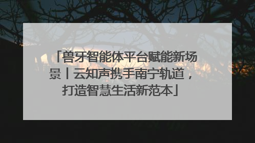 兽牙智能体平台赋能新场景丨云知声携手南宁轨道，打造智慧生活新范本