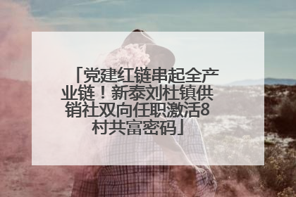 党建红链串起全产业链！新泰刘杜镇供销社双向任职激活8村共富密码