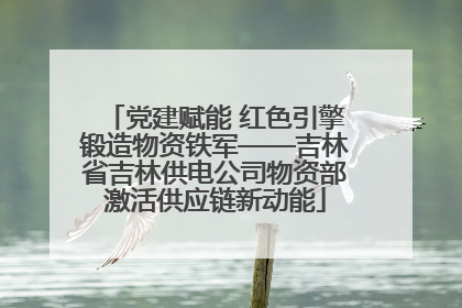 党建赋能 红色引擎锻造物资铁军——吉林省吉林供电公司物资部激活供应链新动能